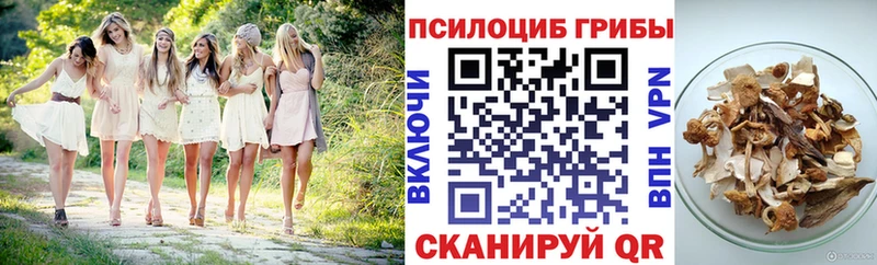 купить закладку Туймазы это клад Псилоцибиновые грибы Psilocybe